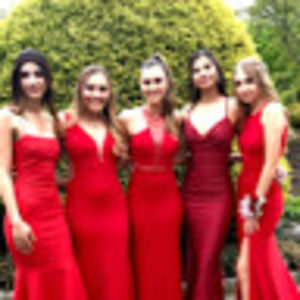 Meet your Posher, Bailey